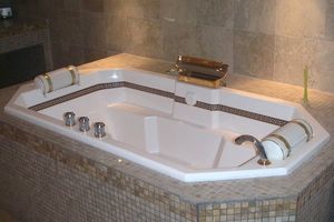 baignoire à usage professionnel 1