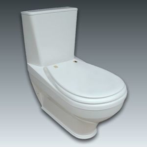 WC monobloc