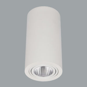 downlight en saillie