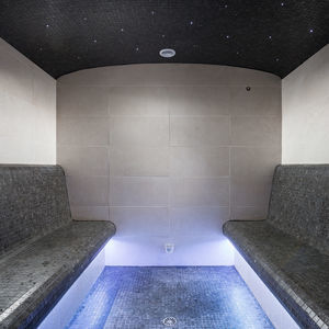 bain de vapeur avec douche intégrée