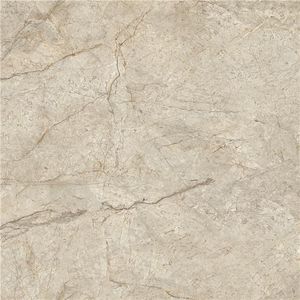 carrelage en porcelaine
