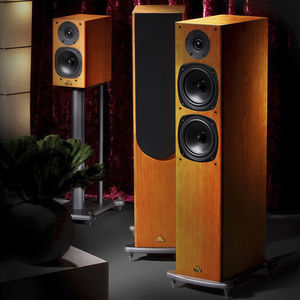 enceinte colonne 1