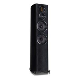 enceinte sur pied 1