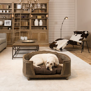lit pour chien
