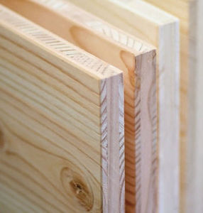 panneau en bois de construction