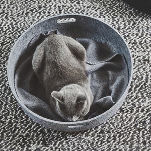 panier pour chat en PET