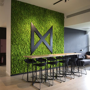 mur végétal stabilisé / d'intérieur