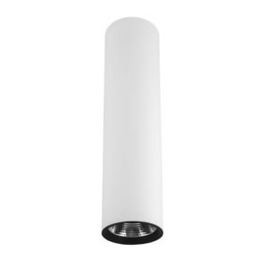 downlight en saillie