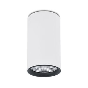 downlight en saillie