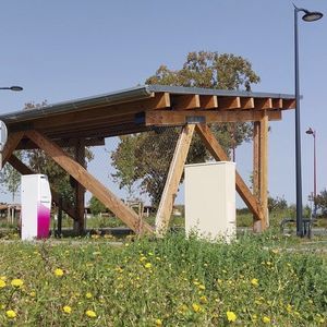abri de voiture en bois