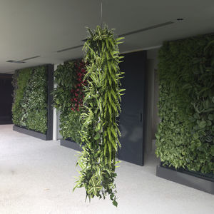 mur végétal stabilisé