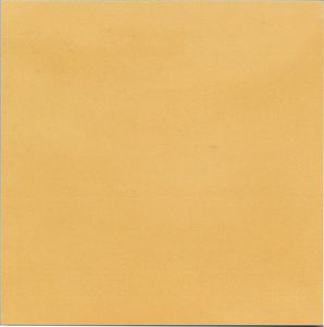 carrelage en porcelaine 1