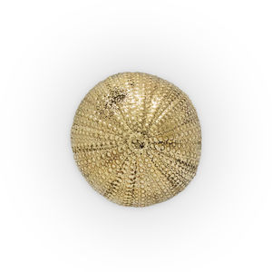 bouton de meuble contemporain 1