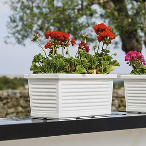 jardinière en polyéthylène / rectangulaire / classique