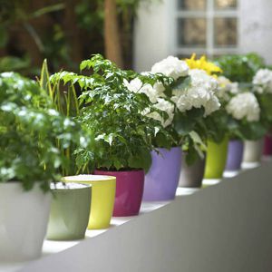pot de jardin en plastique