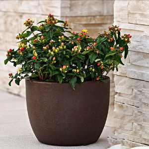 pot de jardin en terracotta