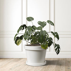 pot de fleur en polyéthylène rotomoulé 1