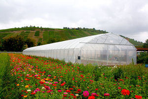 serre professionnelle / botanique / de jardinage / tunnel unique