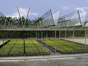 serre professionnelle / de jardinage / de production / à ouverture totale