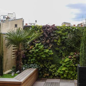mur végétal stabilisé