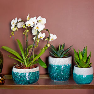 pot de jardin en céramique