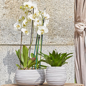 pot de fleur en céramique