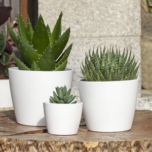 pot de jardin en céramique