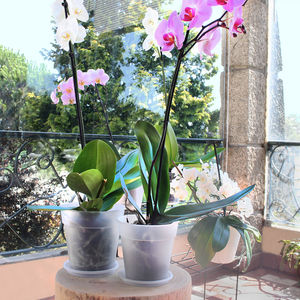 pot de fleur en polypropylène