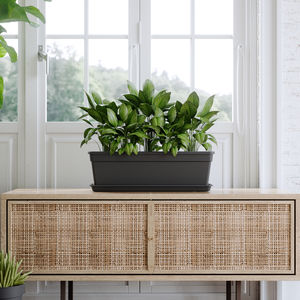 pot de jardin en plastique