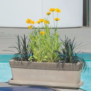 jardinière en terracotta
