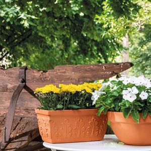 jardinière en terracotta
