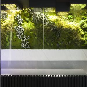 mur végétal stabilisé