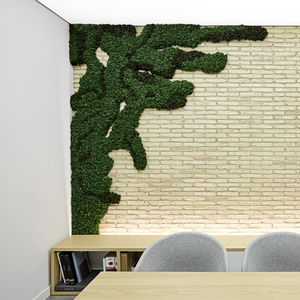 mur végétal stabilisé 1