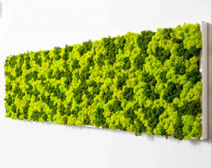 tableau végétal stabilisé 1
