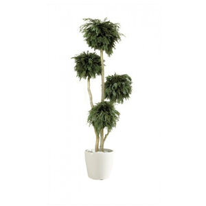 plante ornementale stabilisée
