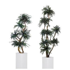 plante ornementale stabilisée 1