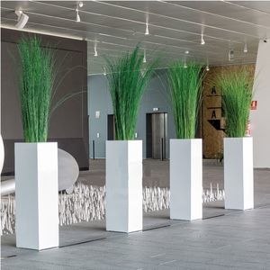 plante ornementale stabilisée 1