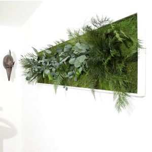 tableau végétal stabilisé / feuillages denses / en mousse boule / d'intérieur