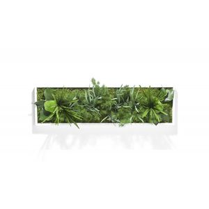 tableau végétal stabilisé