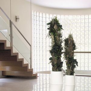plante ornementale stabilisée
