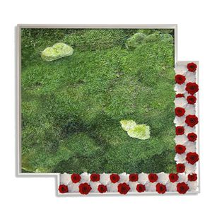tableau végétal stabilisé / en mousse boule / floral / d'intérieur