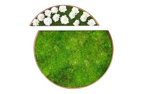 tableau végétal stabilisé / en mousse boule / floral / d'intérieur