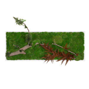 tableau végétal stabilisé