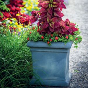 pot de jardin en plastique