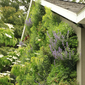 jardin vertical en végétaux vivants / d'intérieur / d'extérieur