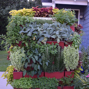 jardin vertical en végétaux vivants / naturel / d'extérieur
