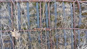 mur de soutènement végétalisable