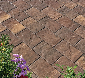 pavé en béton 1
