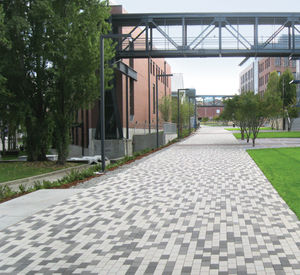 pavé en béton 1