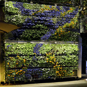 mur végétal stabilisé 1